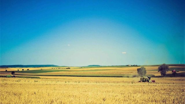 Global Food Security will be threatened by regional instabilities