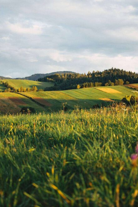 Suwalki Gap, the Dangerous Corridor between Poland and Lithuania